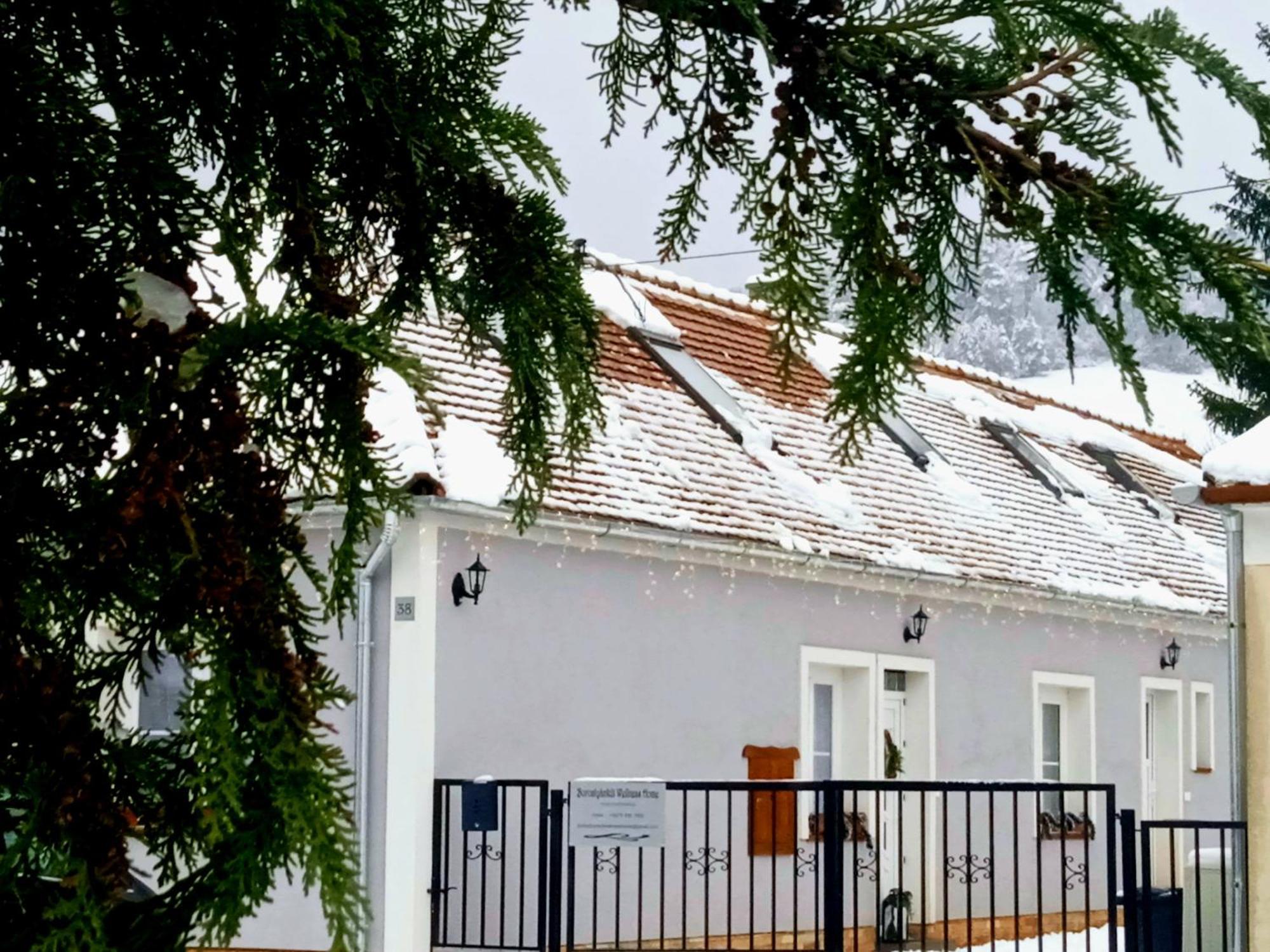 Borostyankut Wellness Home Bakonybél المظهر الخارجي الصورة